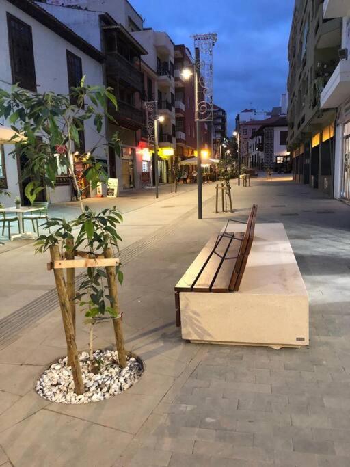 Estudio Con Amplia Terraza En Puerto De La Cruz Buitenkant foto